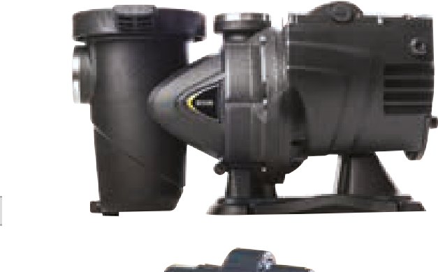 Euroswim pump